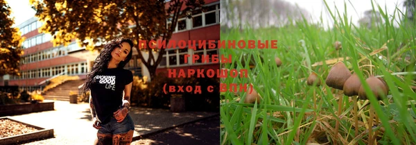 твердый Аркадак