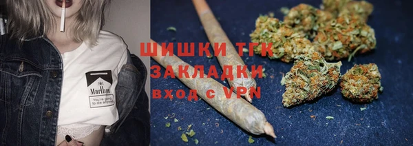 твердый Аркадак
