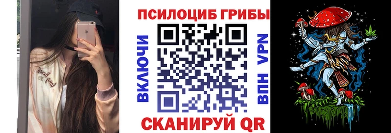 Псилоцибиновые грибы GOLDEN TEACHER Купить Суздаль